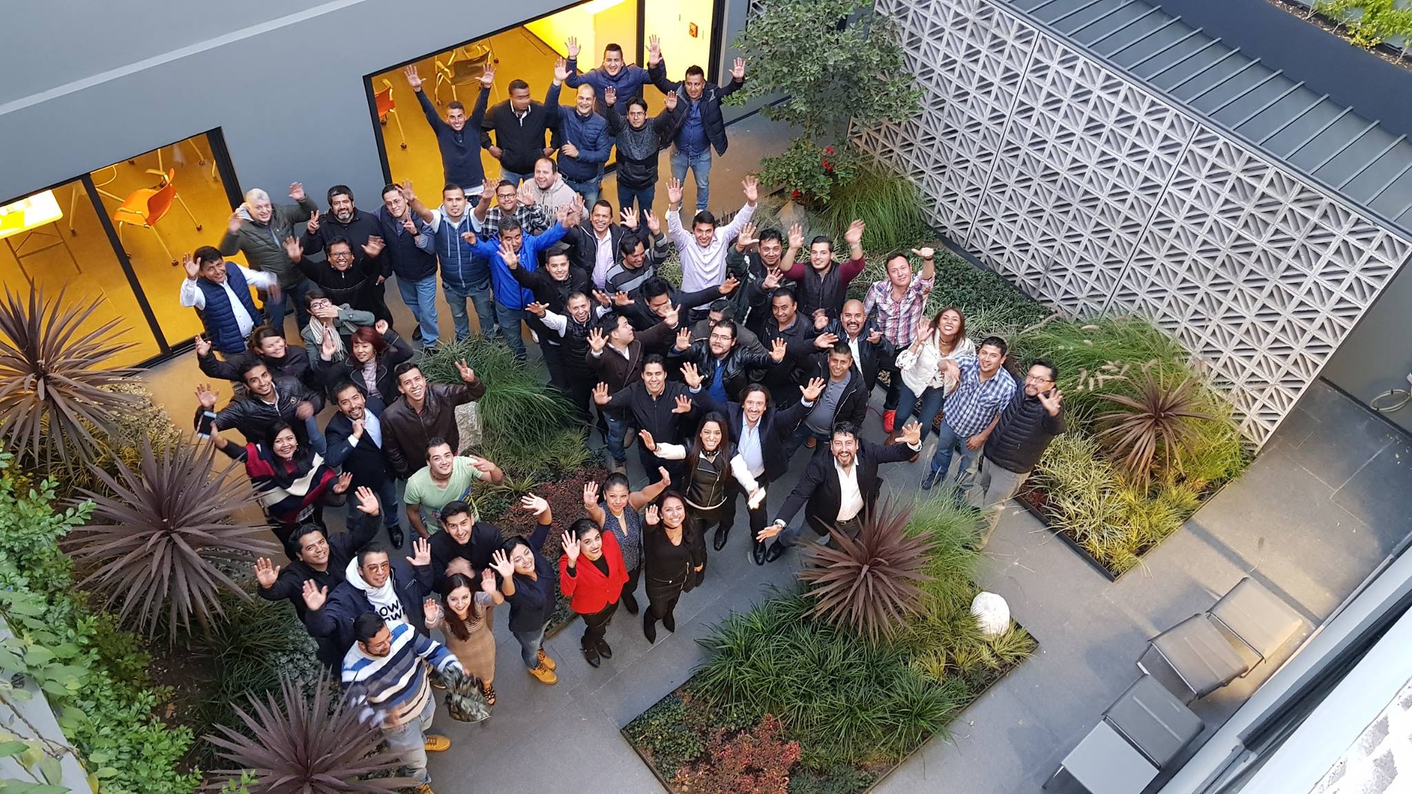 Asintelix Staff